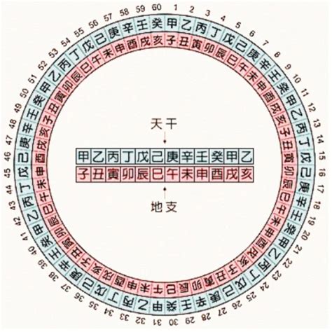 2023天干地支五行|天干地支纪年法，天干地支五行对照表